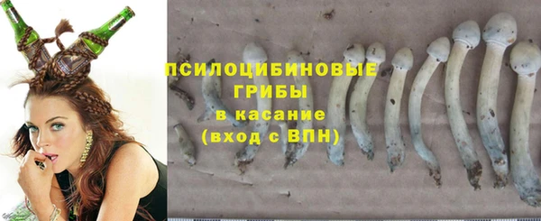 первитин Белоозёрский