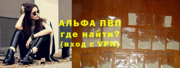 ГАЛЛЮЦИНОГЕННЫЕ ГРИБЫ Богданович