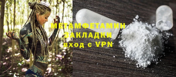 ГАЛЛЮЦИНОГЕННЫЕ ГРИБЫ Богданович