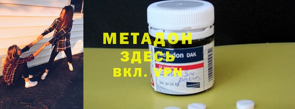 ГАЛЛЮЦИНОГЕННЫЕ ГРИБЫ Богданович
