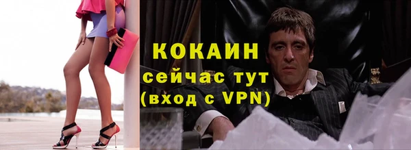 не бодяженный Бородино