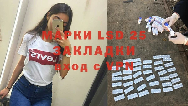 ГАЛЛЮЦИНОГЕННЫЕ ГРИБЫ Богданович