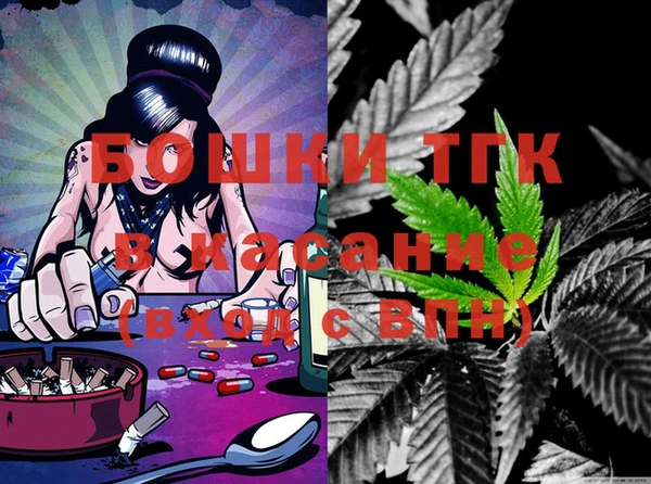 ECSTASY Богородицк