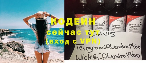 не бодяженный Бородино