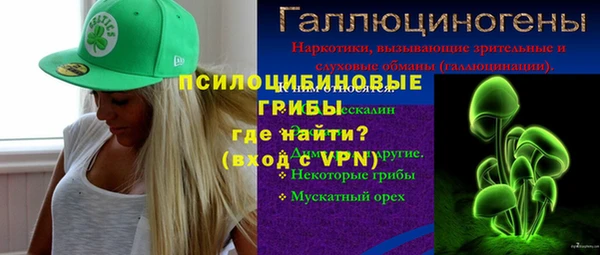 не бодяженный Бородино
