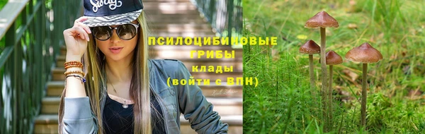 ГАЛЛЮЦИНОГЕННЫЕ ГРИБЫ Богданович