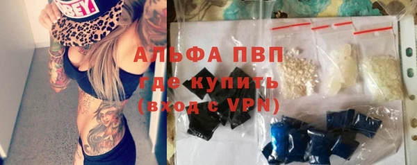 дживик Бронницы