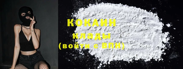 дживик Бронницы