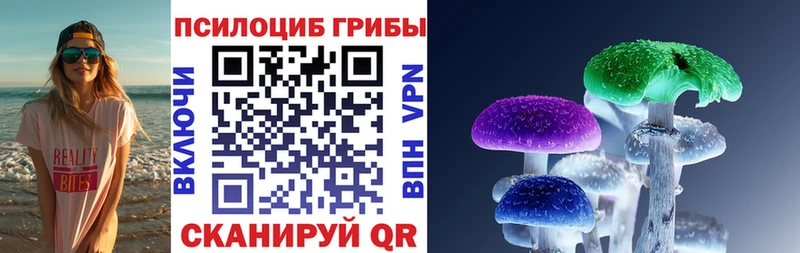 Галлюциногенные грибы GOLDEN TEACHER  kraken как зайти  Вязники 