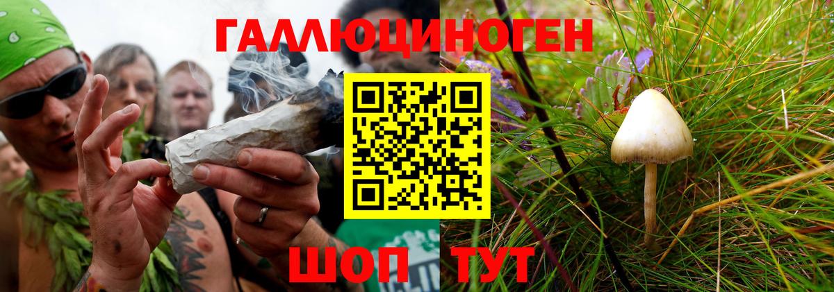 Галлюциногенные грибы прущие грибы Вязники
