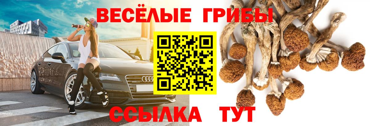 Псилоцибиновые грибы Cubensis  Вход с VPN  Галлюциногенные грибы прущие грибы  Вязники 